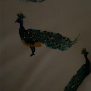 Meet your Posher, Steffanie